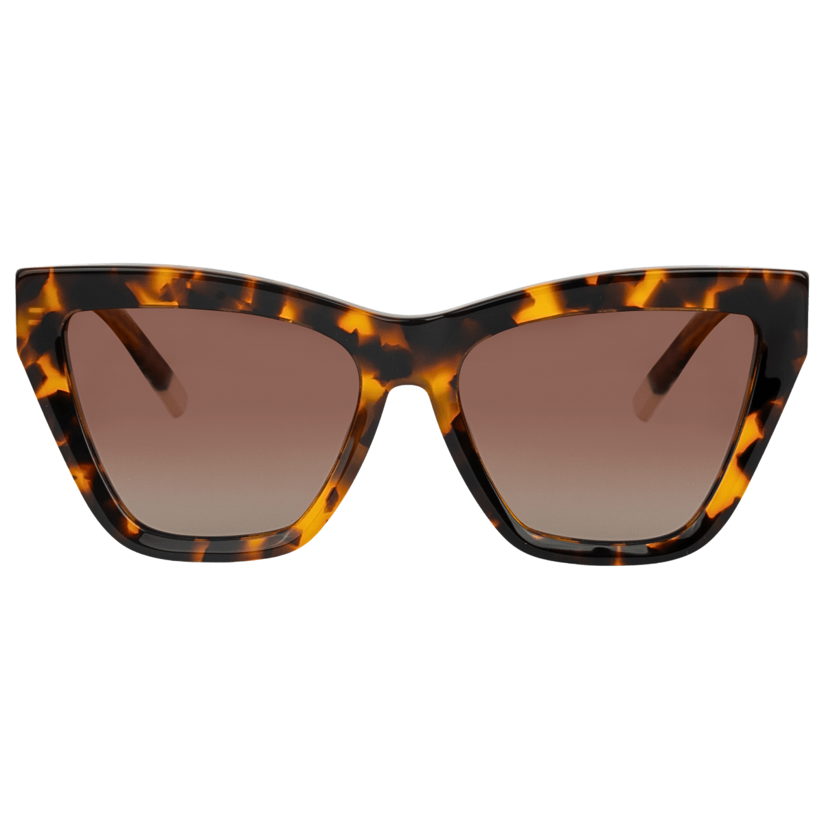 Diana Havane - BLEATHER - Drlunettes