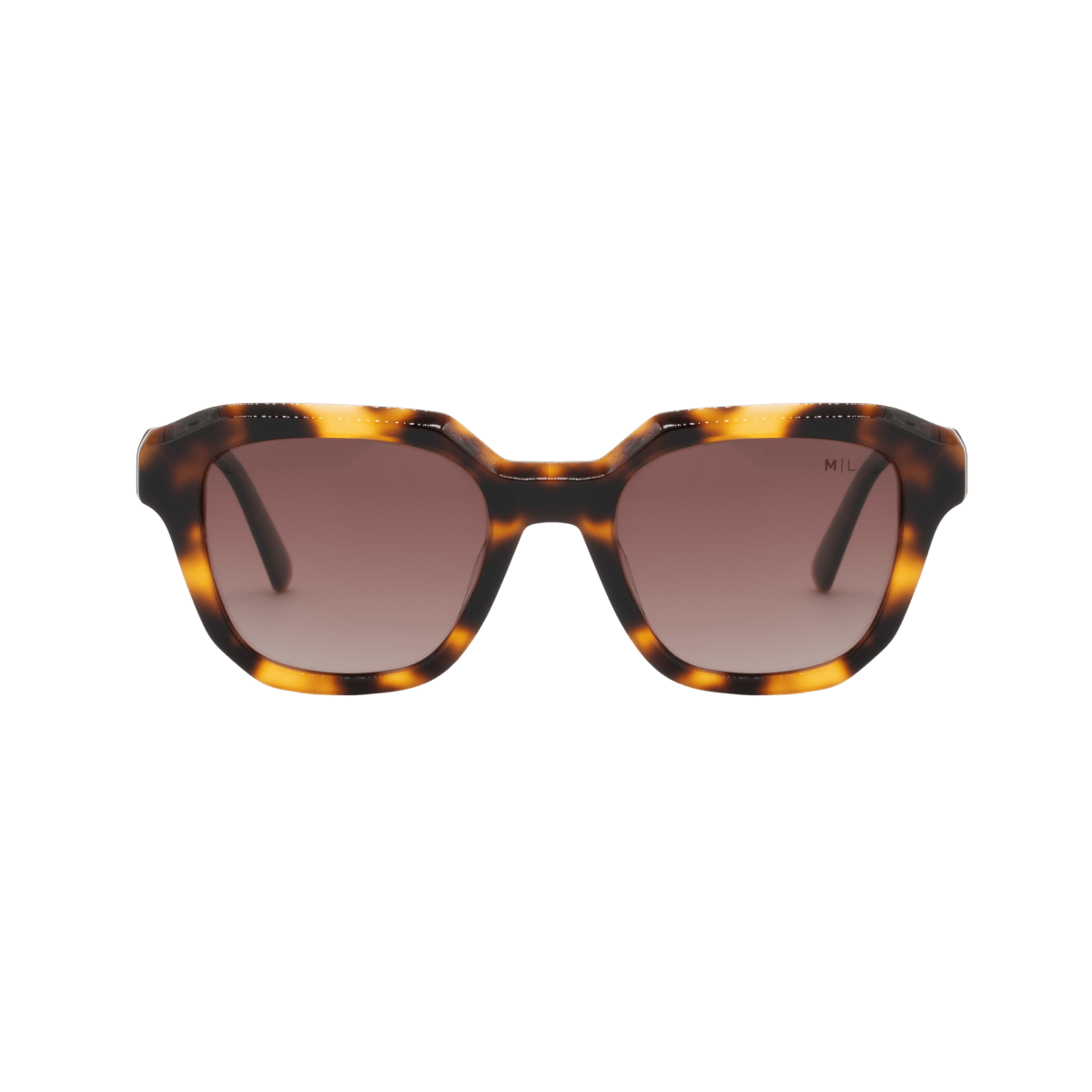 Lunettes de soleil unisex: Maison Lorraine M - ML - 006 Marron/Havane - Drlunettes
